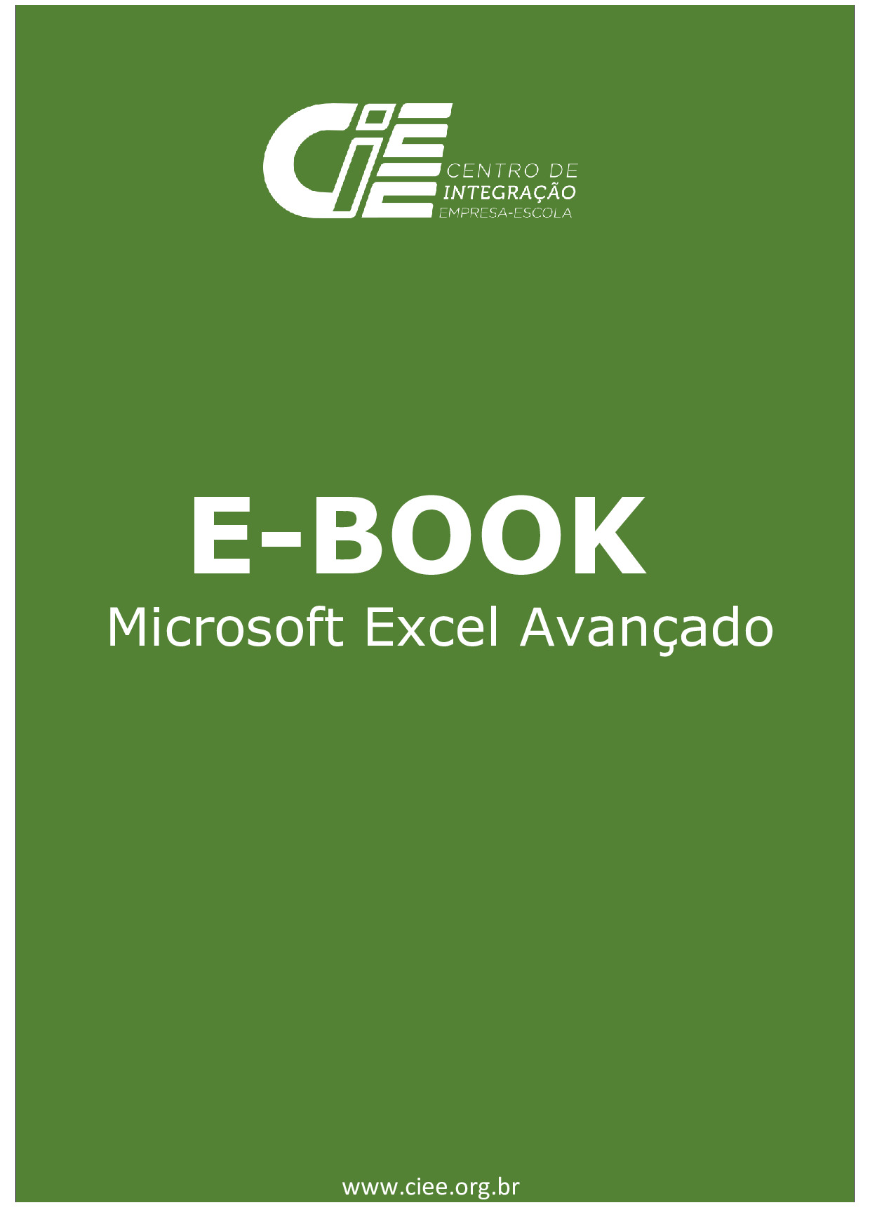 Microsoft Excel Avançado | PDF | Centro de integração Empresa-escola
