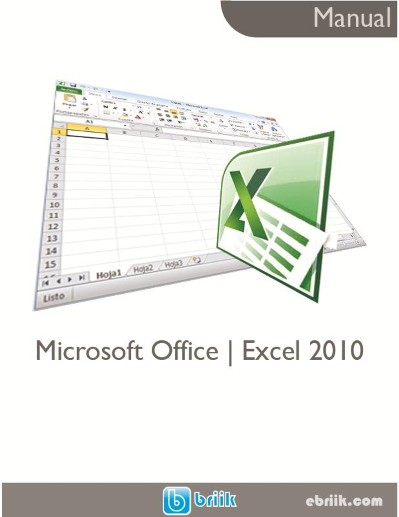 Manual Microsoft Office Excel 2010 | PDF | Briik