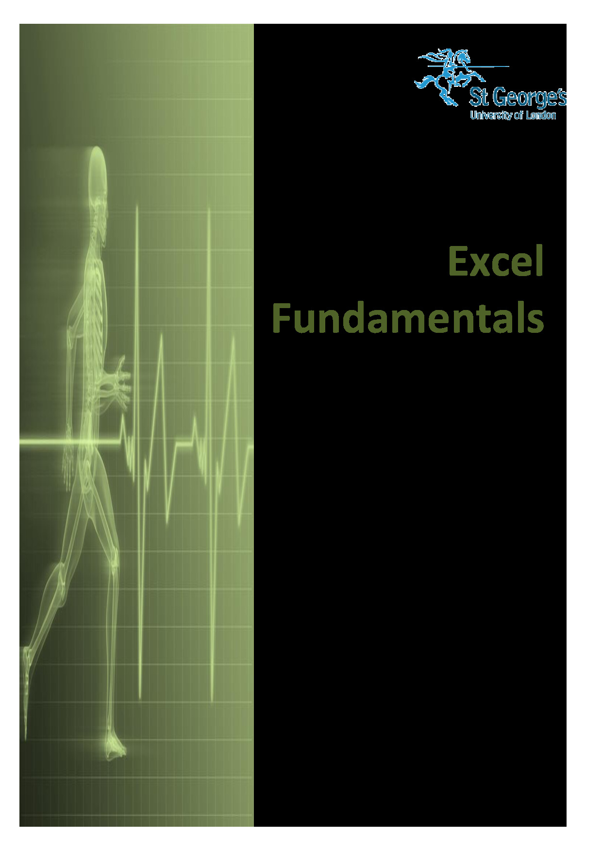 Excel Fundamentals | PDF| St Georges