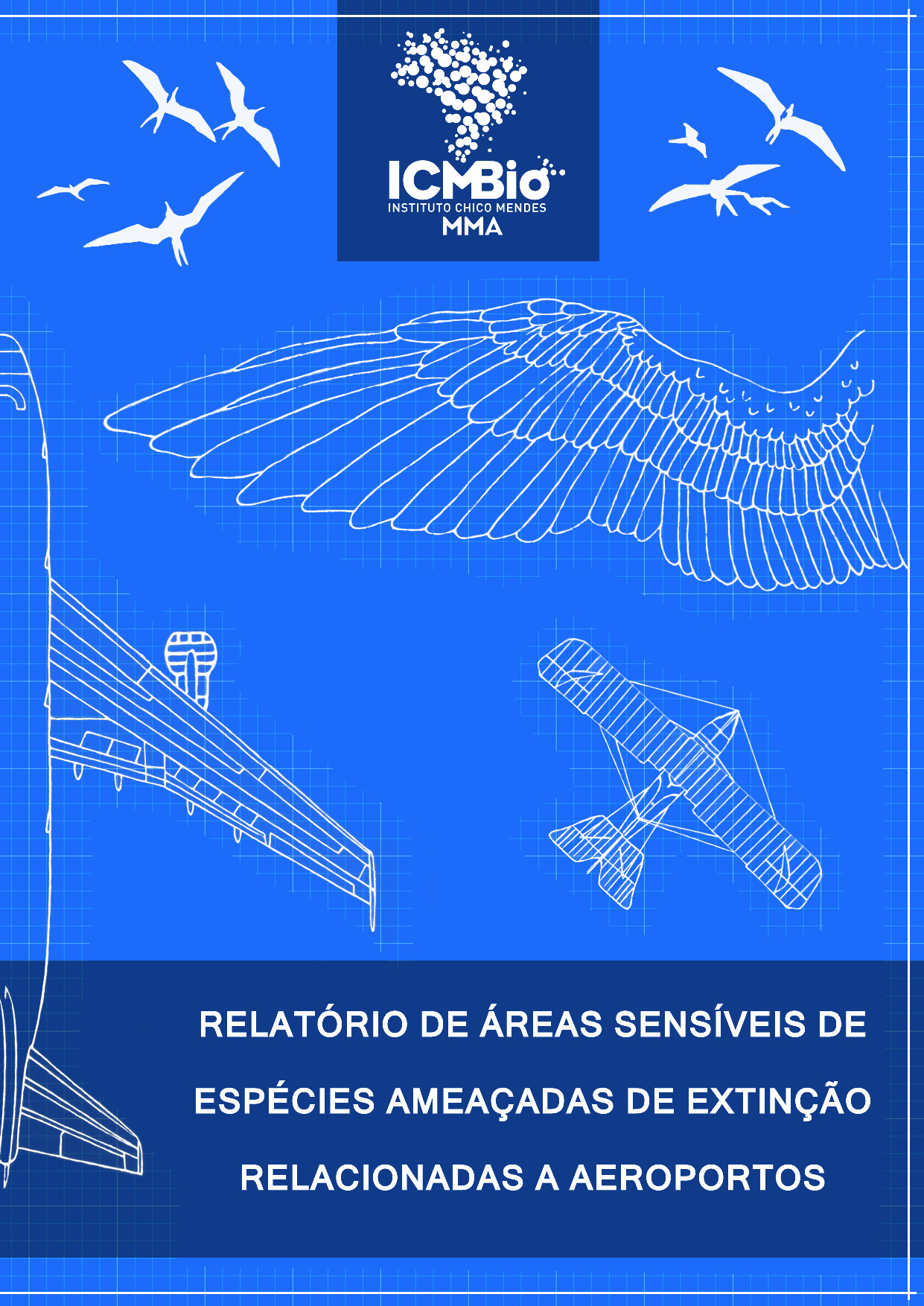 Relatório de Áreas Sensíveis de Espécies Ameaçadas Relacionadas a Aeroportos
