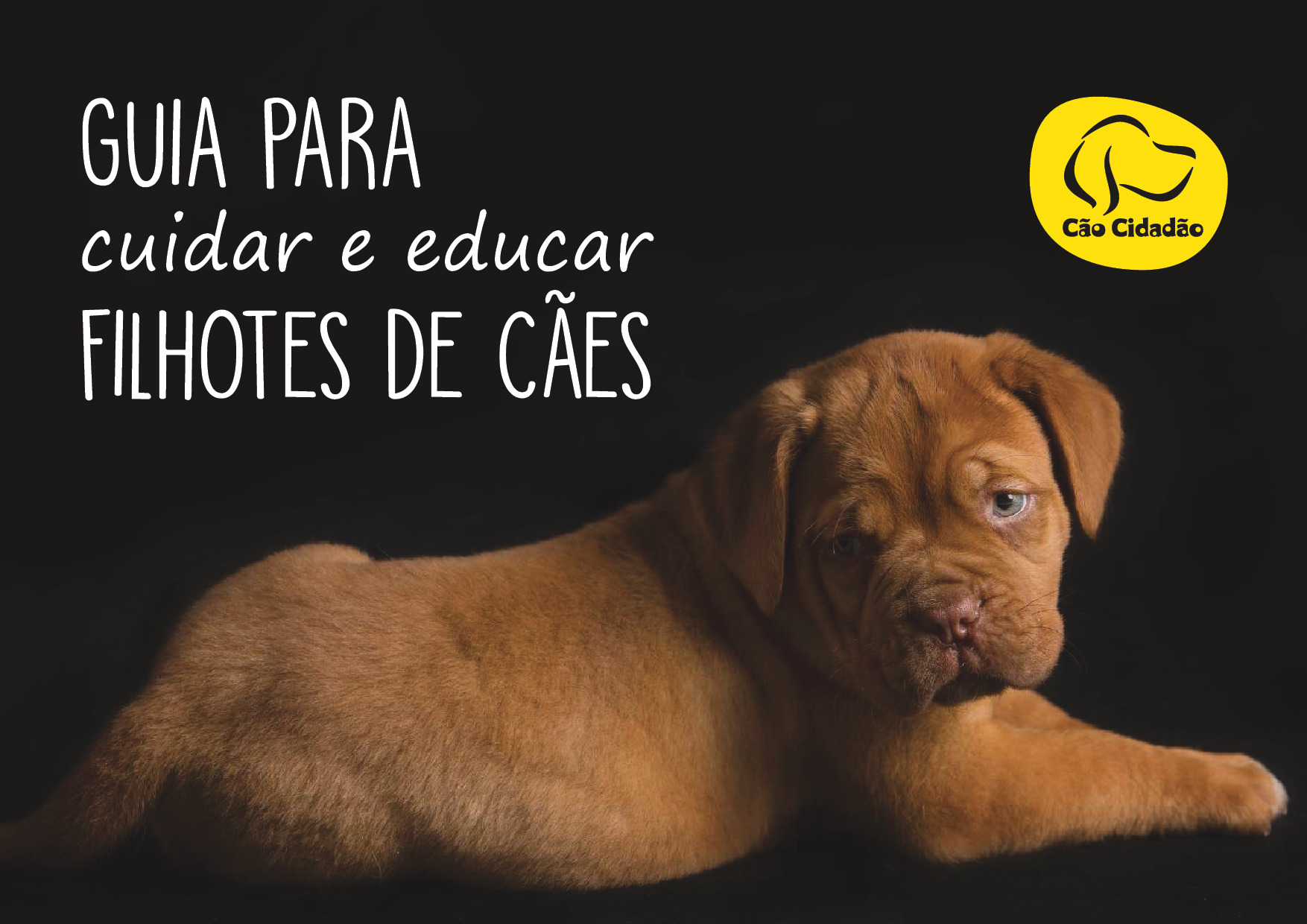 Guia para Cuidar e Educar Filhotes de Cães (PDF)