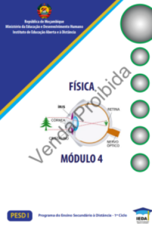Módulo 4 de Física do 1º ciclo (Actualizado – 2024)