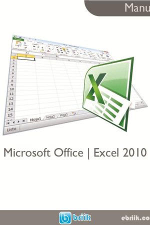 Manual Microsoft Office Excel 2010 | PDF | Briik