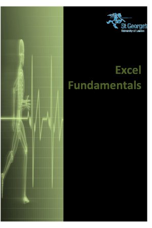 Excel Fundamentals | PDF| St Georges