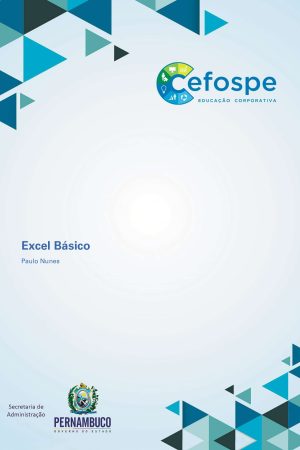 Manual de Excel Básico | Paulo Nunes – CEFOSPE .pdf
