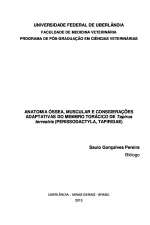 Anatomia Óssea, muscular e considerações adaptativas do membro torácico de Tapirus terrestris (Perissodactyla, Tapiridae)