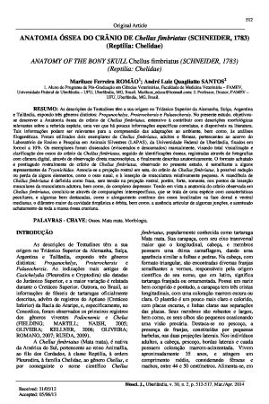 [Artigo] Anatomia óssea do crânio de Chellus fimbriatus (Schneider, 1783) (Reptilia: Chelidae)