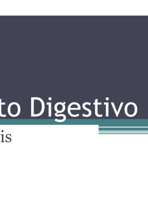 Trato Digestivo Répteis (Bárbara Hortelan, Érica Ramos e Gabriela Bertti)