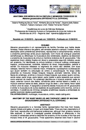 Anatomia dos músculos da cintura e membros torácicos de Mazama gouazoubira (Artiodactyla; Cervidae)