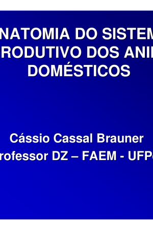 Anatomia Do Sistema Reprodutivo Dos Animais Domésticos [Cássio Cassal Brauner]
