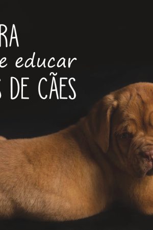 Guia para Cuidar e Educar Filhotes de Cães (PDF)