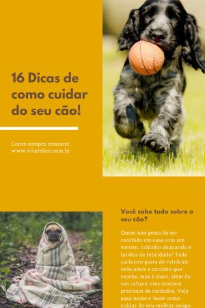 Dicas de como cuidar do seu cão! [PDF]