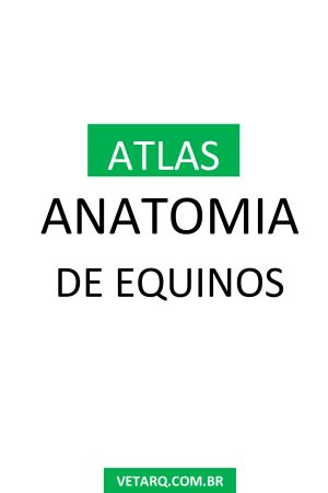 Anatomia de Equinos [Vetarq] – Atlas