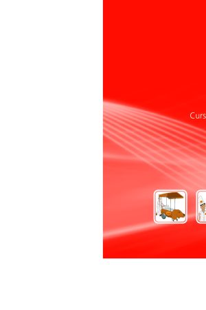 Empreendedorismo –  Ariana Ramos Massensini . PDF