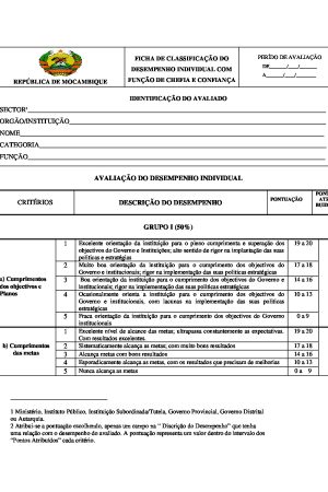 Ficha de Classificação do Desempenho Individual para cargos de chefia e confiança